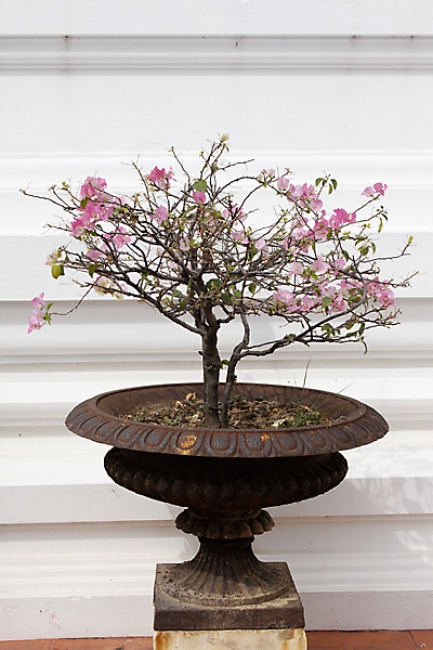 Muang Boran-2008-013